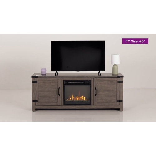 Laurel Foundry Modern Farmhouse Guadalupe TV Stand for TVs up to 65